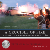 Cover image: A Crucible of Fire 9781459722125