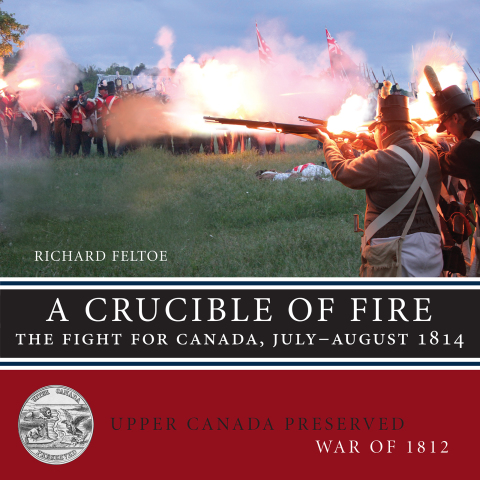 Cover image for book A Crucible of Fire