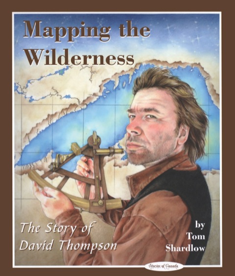 Cover image for book Mapping the Wilderness