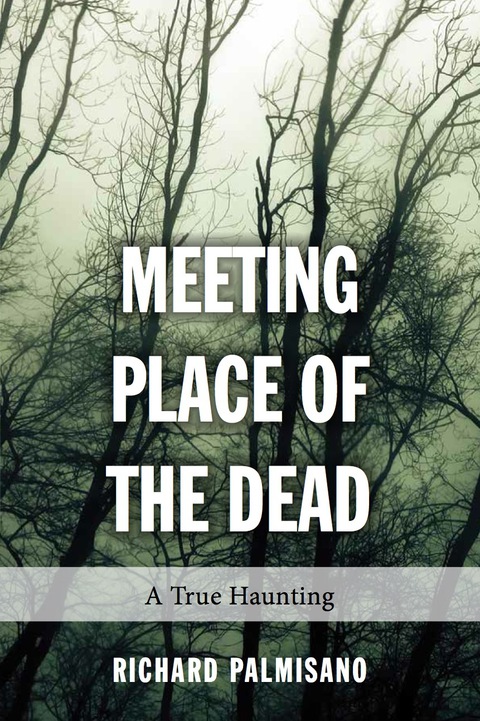 Cover image for book Meeting Place of the Dead