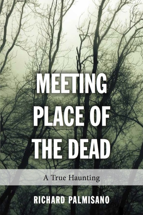 Cover image for book Meeting Place of the Dead