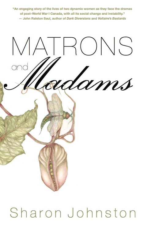 Cover image for book Matrons and Madams