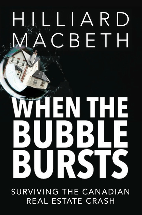 Cover image for book When the Bubble Bursts