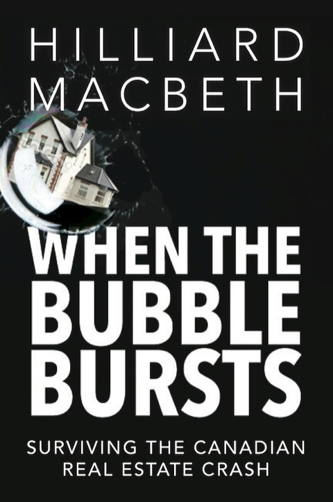 Cover image for book When the Bubble Bursts