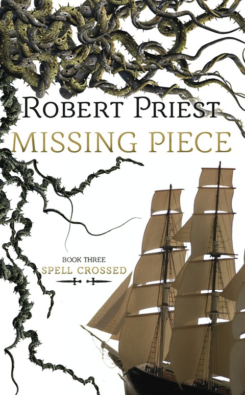 Cover image for book Missing Piece