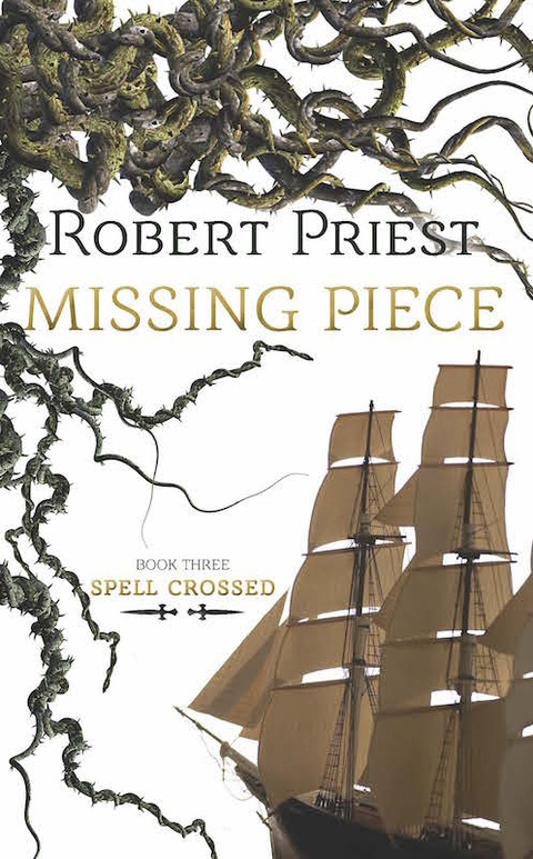 Cover image for book Missing Piece