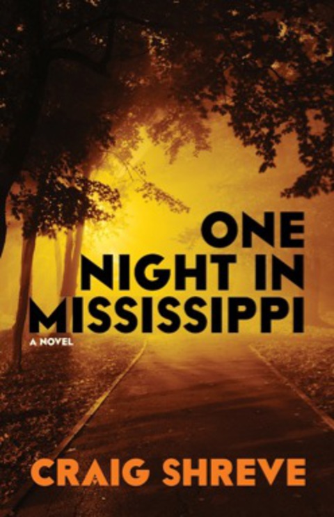 Cover image for book One Night in Mississippi