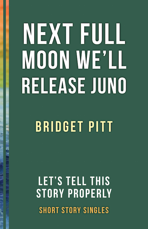 Cover image for book Next Full Moon We'll Release Juno