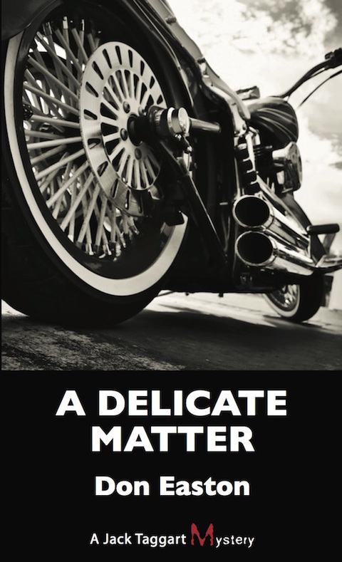 Cover image for book A Delicate Matter