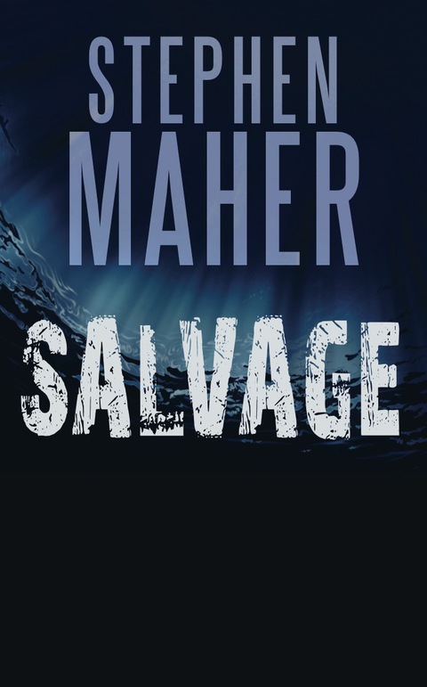 Cover image for book Salvage