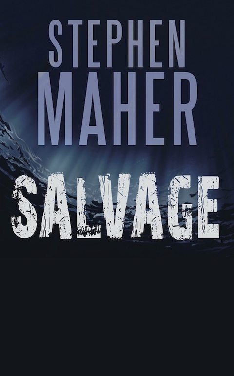 Cover image for book Salvage