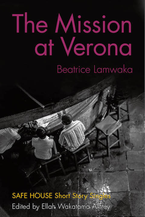 Cover image for book The Mission at Verona