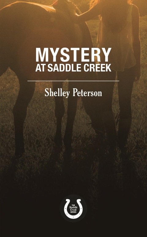 Cover image for book Mystery at Saddle Creek