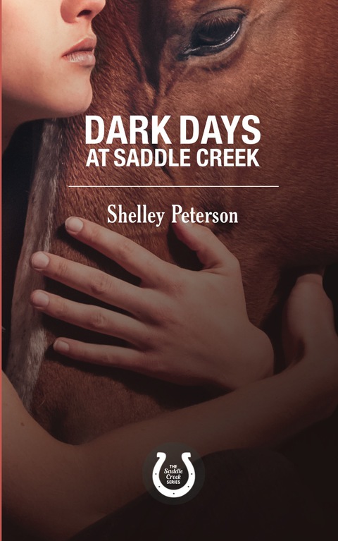Cover image for book Dark Days at Saddle Creek