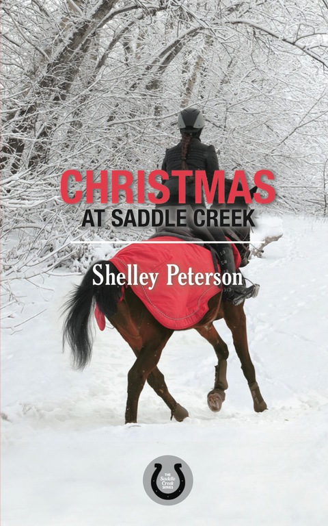 Cover image for book Christmas at Saddle Creek