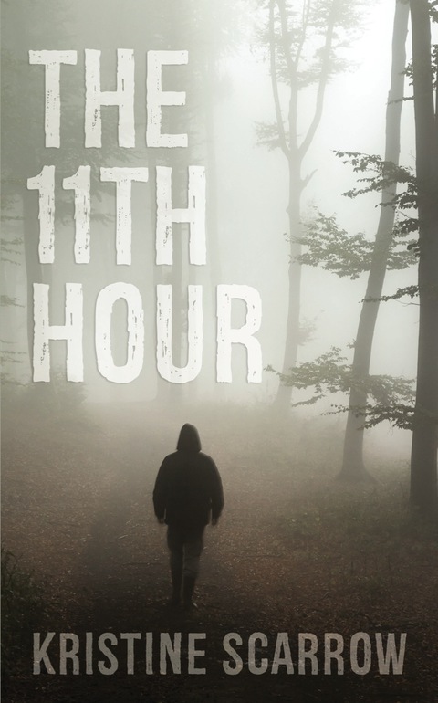 Cover image for book The 11th Hour