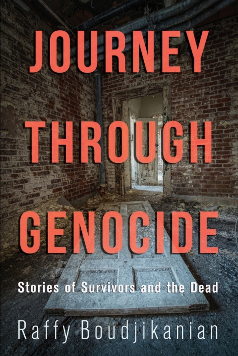 Cover image for book Journey through Genocide