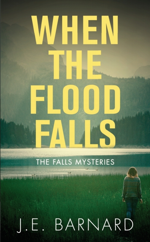 Cover image for book When the Flood Falls