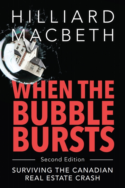 Cover image for book When the Bubble Bursts