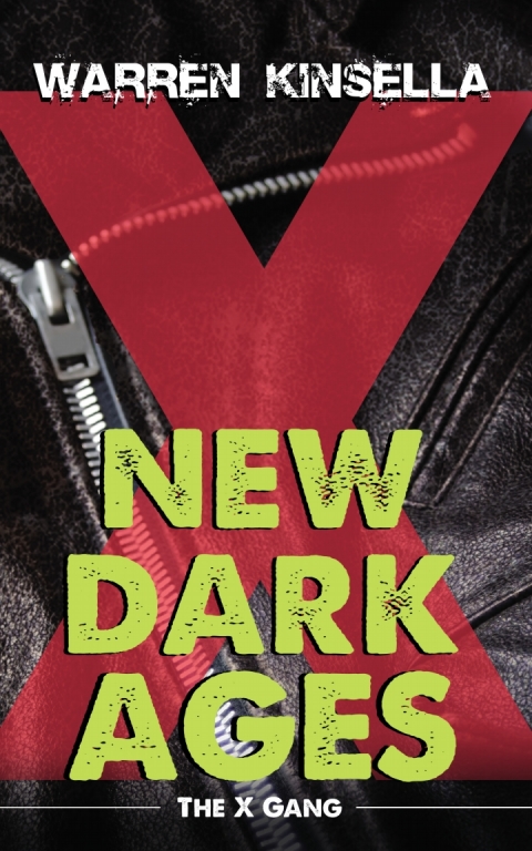Cover image for book New Dark Ages