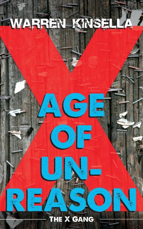 Cover image for book Age of Unreason