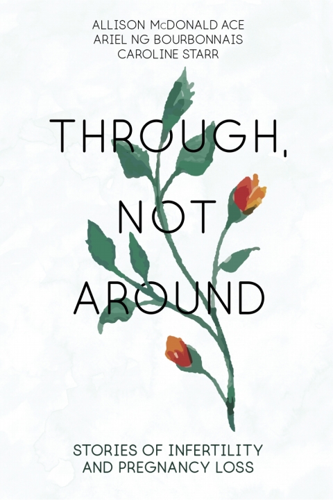 Cover image for book Through, Not Around