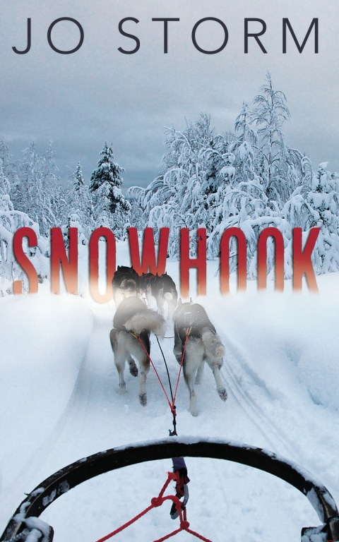 Cover image for book Snowhook
