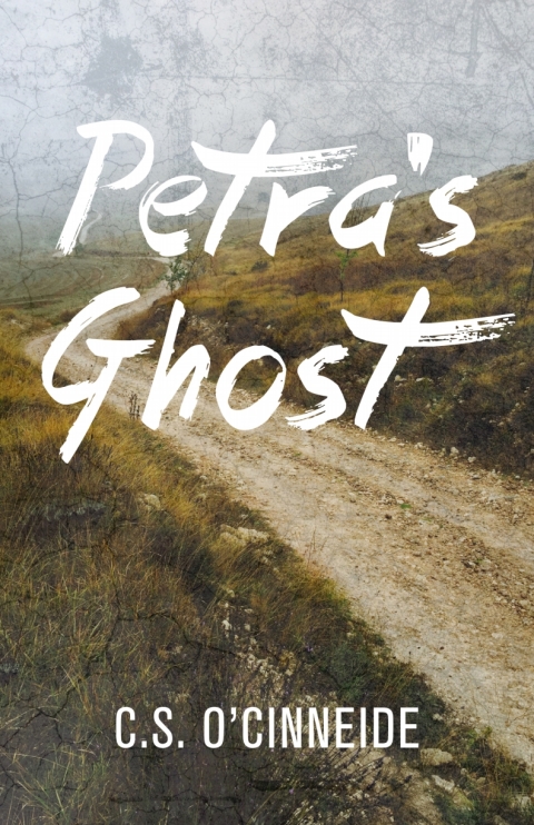 Cover image for book Petra's Ghost