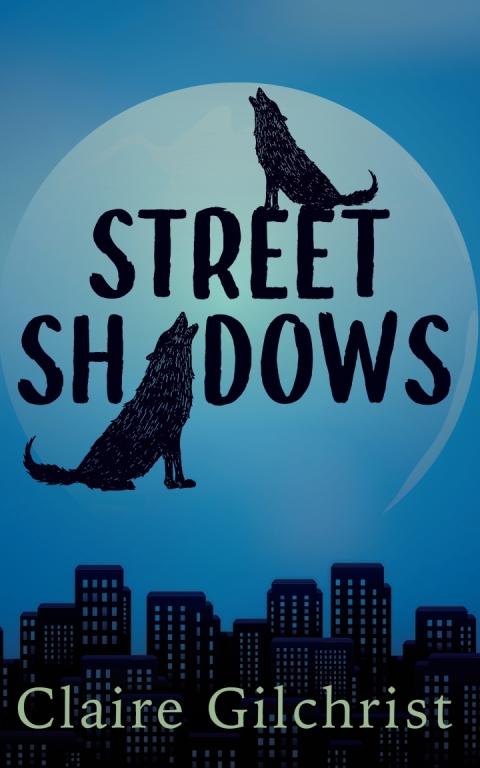 Cover image for book Street Shadows