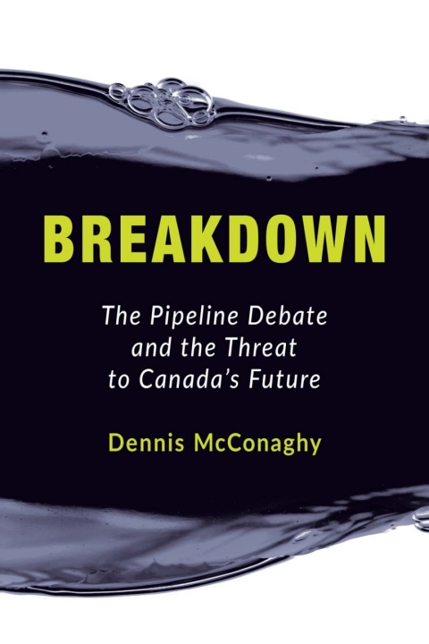 Cover image for book Breakdown