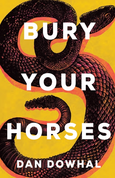 Cover image for book Bury Your Horses