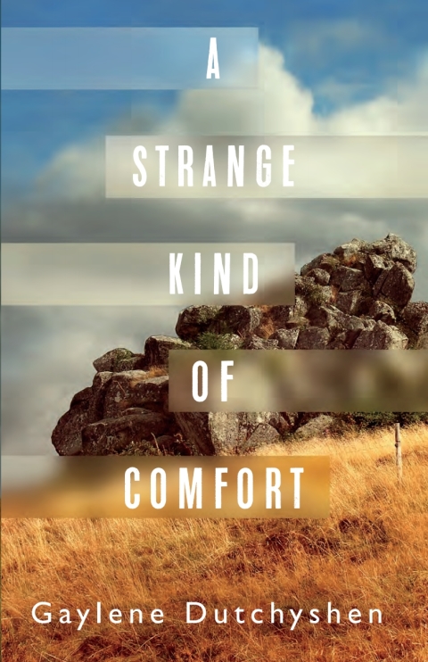 Cover image for book A Strange Kind of Comfort