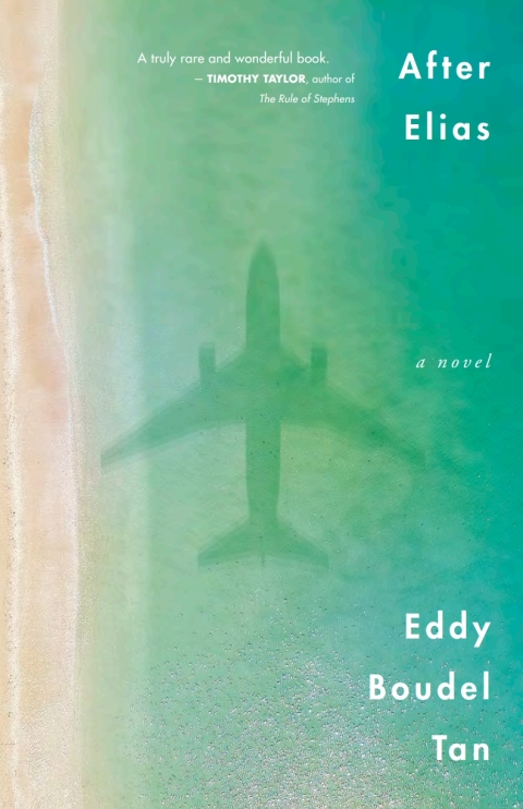 Cover image for book After Elias