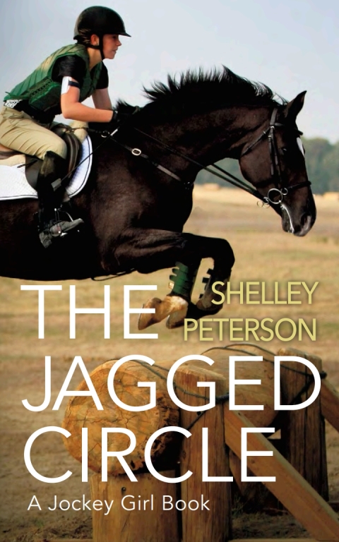 Cover image for book The Jagged Circle