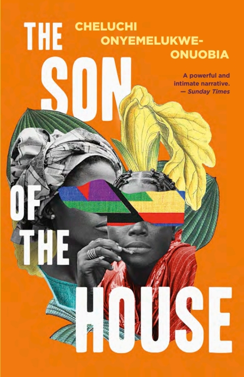 Cover image for book The Son of the House