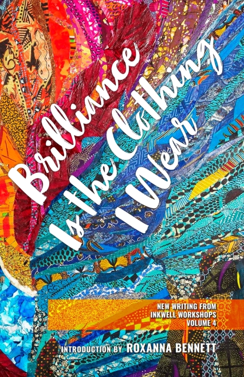 Cover image for book Brilliance Is the Clothing I Wear