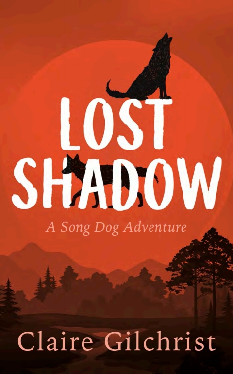 Cover image for book Lost Shadow