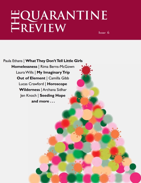 Cover image for book The Quarantine Review, Issue 6