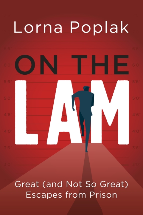 Cover image for book On the Lam