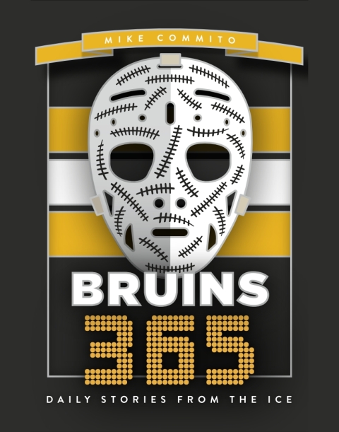 Cover image for book Bruins 365