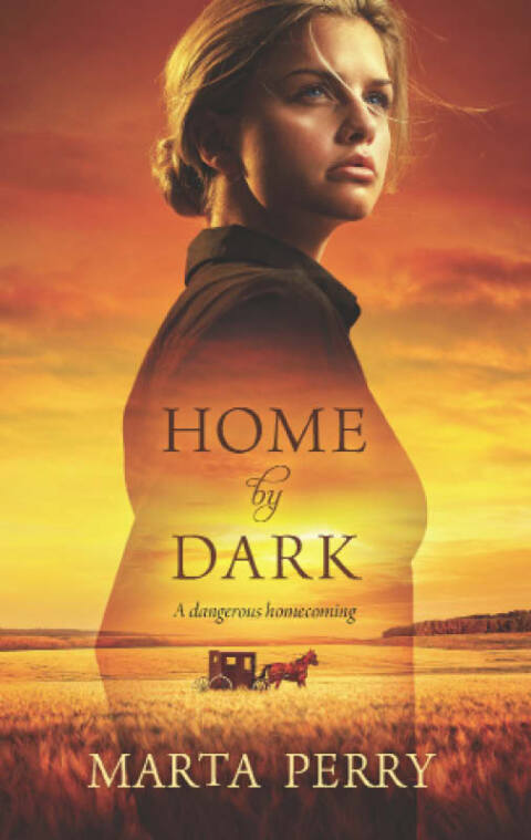 Cover image for book Home by Dark
