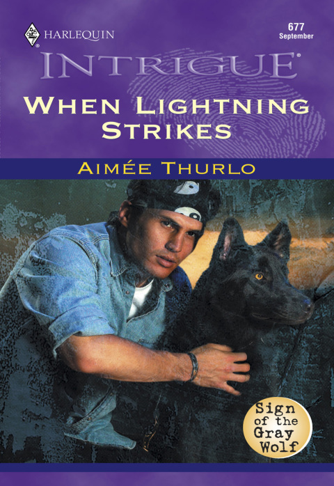 Cover image for book WHEN LIGHTNING STRIKES