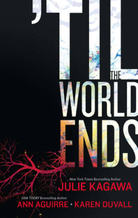 Cover image for book 'Til The World Ends