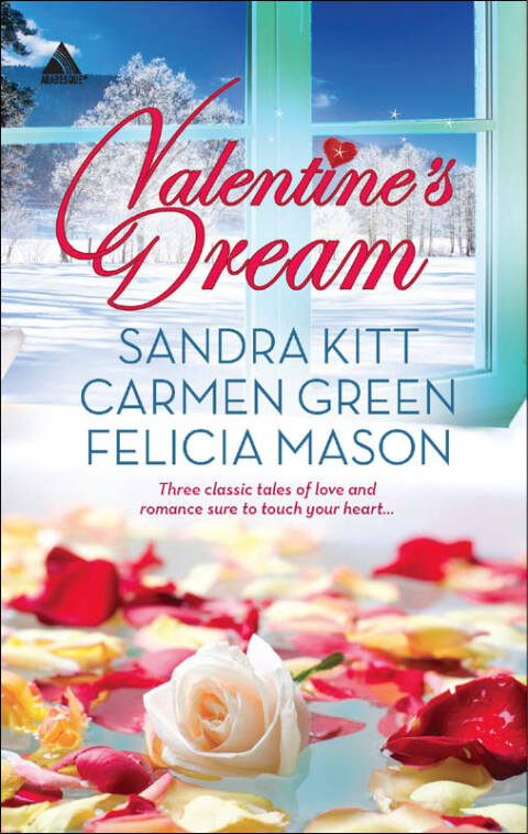 Cover image for book Valentine's Dream