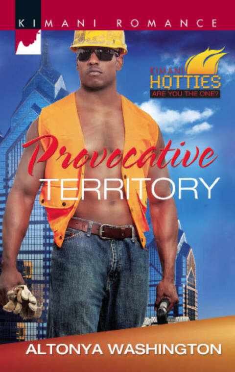 Cover image for book Provocative Territory