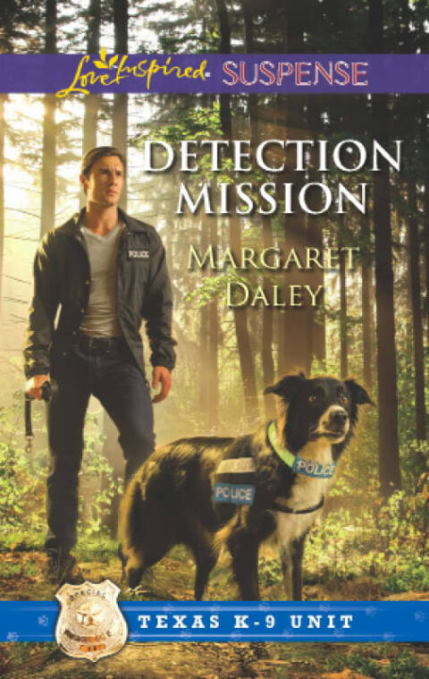Cover image for book Detection Mission