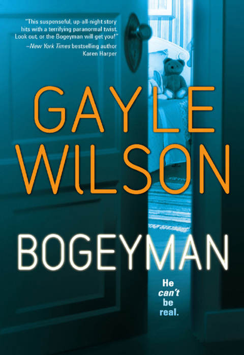Cover image for book Bogeyman