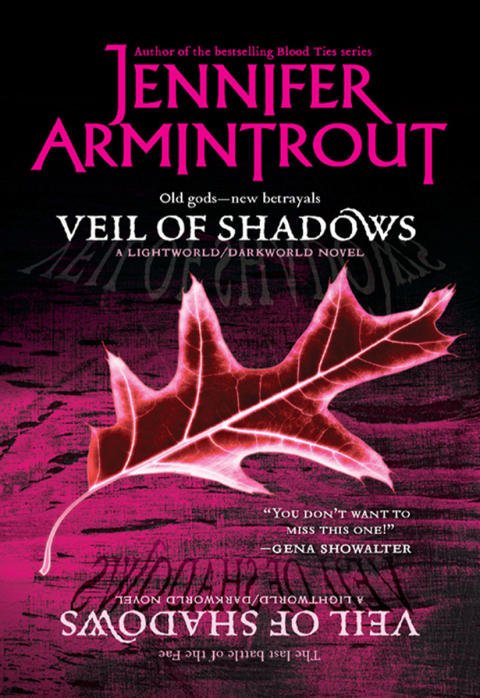Cover image for book Veil of Shadows