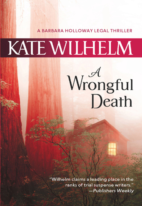 Cover image for book A Wrongful Death