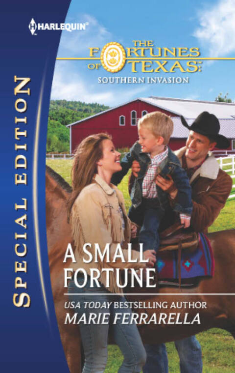 Cover image for book A Small Fortune